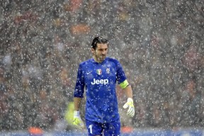 开云体育全站-CBA球队强化教练团队配备，cba教练兼球员